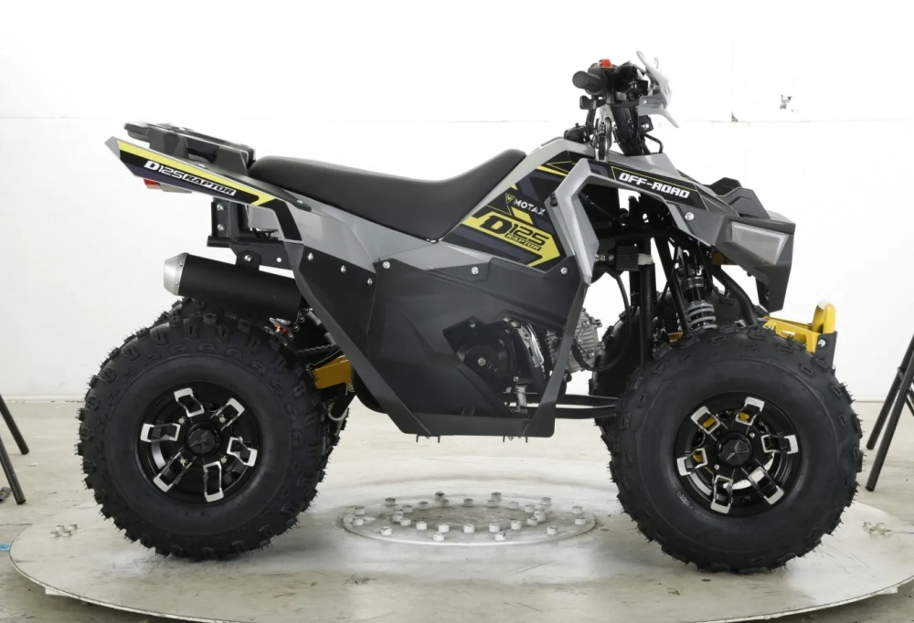 Комплект квадроциклов GRIZLIK D125 RAPTOR LUX чёрный-зелёный МОТОУДАЧА. Магазин мототехники и садового инвентаря с доставкой по всей России