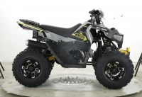 Комплект квадроциклов GRIZLIK D125 RAPTOR LUX чёрный-зелёный МОТОУДАЧА. Магазин мототехники и садового инвентаря с доставкой по всей России