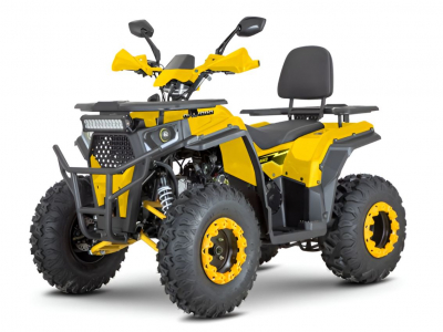 Комплект для сборки Dazzle  ATV200 AFB200 (DZC2015) Жёлтый МОТОУДАЧА. Магазин мототехники и садового инвентаря с доставкой по всей России