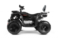 Комплект для сборки квадроцикла Progasi RaceJumper MaxPower 200 Black satin МОТОУДАЧА. Магазин мототехники и садового инвентаря с доставкой по всей России