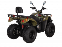 Квадрицикл KAYO AU200 спинка зеленый пластик ПТС МОТОУДАЧА. Магазин мототехники и садового инвентаря с доставкой по всей России