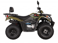 Квадрицикл KAYO AU200 спинка зеленый пластик ПТС МОТОУДАЧА. Магазин мототехники и садового инвентаря с доставкой по всей России