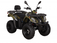 Квадрицикл KAYO AU200 спинка зеленый пластик ПТС МОТОУДАЧА. Магазин мототехники и садового инвентаря с доставкой по всей России