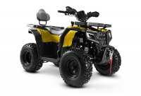 Комплект для сборки квадроцикла Progasi RaceJumper MaxPower 200 Fluo yellow МОТОУДАЧА. Магазин мототехники и садового инвентаря с доставкой по всей России