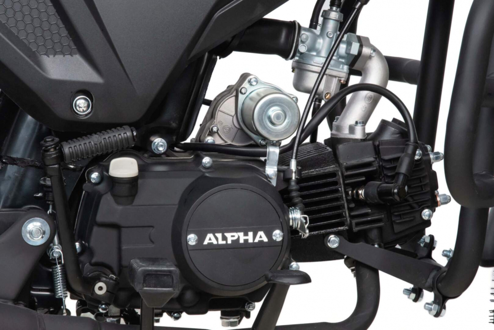 Мопед Motoland Альфа RT 11 (LM48-B) синий (A) МОТОУДАЧА. Магазин мототехники и садового инвентаря с доставкой по всей России