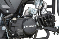 Мопед Motoland Альфа RT 11 (LM48-B) черный  (A) МОТОУДАЧА. Магазин мототехники и садового инвентаря с доставкой по всей России