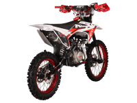 Питбайк KAYO BIG-MINI LUX K140EM 19/16 TT(механ. сцепл., эл.cтартер 2026 г.) МОТОУДАЧА. Магазин мототехники и садового инвентаря с доставкой по всей России