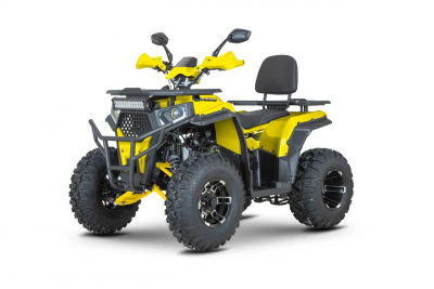 Комплект для сборки Dazzle  ATV200 AFB200 (DZC2015) Жёлтый Комплектация 2 МОТОУДАЧА. Магазин мототехники и садового инвентаря с доставкой по всей России