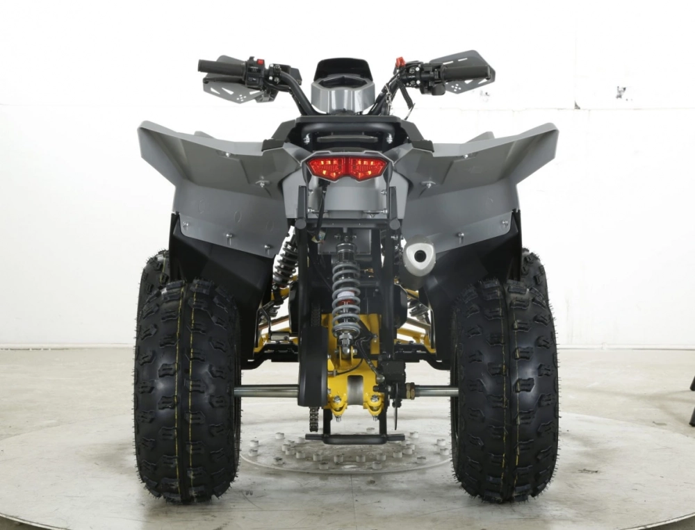 Комплект квадроциклов GRIZLIK D125 RAPTOR LUX чёрный-зелёный МОТОУДАЧА. Магазин мототехники и садового инвентаря с доставкой по всей России