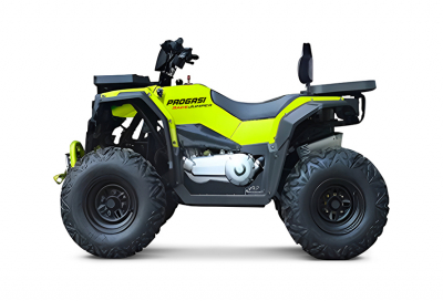 Комплект для сборки квадроцикла Progasi RaceJumper 200 Forest green МОТОУДАЧА. Магазин мототехники и садового инвентаря с доставкой по всей России