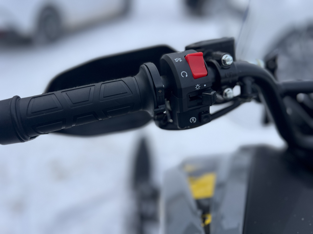 Комплект для самостоятельной сборки Комплект снегоцикла MOTAX FREERIDE 250 EFI LONG" МОТОУДАЧА. Магазин мототехники и садового инвентаря с доставкой по всей России