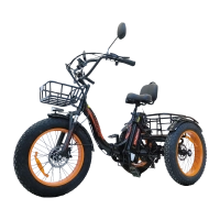 Электровелосипед Kugoo Trike (2299770003719) МОТОУДАЧА. Магазин мототехники и садового инвентаря с доставкой по всей России