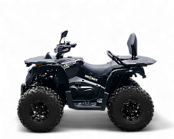 Квадрицикл Bizon YK250 LUX EFI (Черный) МОТОУДАЧА. Магазин мототехники и садового инвентаря с доставкой по всей России
