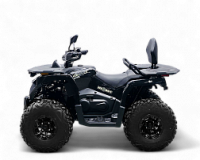 Квадрицикл Bizon YK250 LUX EFI (Черный) МОТОУДАЧА. Магазин мототехники и садового инвентаря с доставкой по всей России