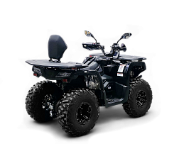 Квадрицикл Bizon YK250 LUX EFI (Черный) МОТОУДАЧА. Магазин мототехники и садового инвентаря с доставкой по всей России