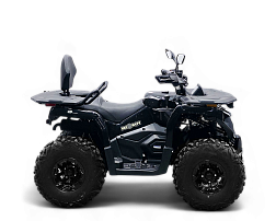 Квадрицикл Bizon YK250 LUX EFI (Черный) МОТОУДАЧА. Магазин мототехники и садового инвентаря с доставкой по всей России