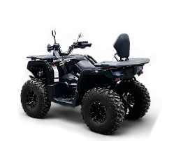 Квадрицикл Bizon YK250 LUX EFI (Черный) МОТОУДАЧА. Магазин мототехники и садового инвентаря с доставкой по всей России