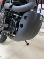 Мотоцикл Racer RC250GY-C2 Panther (красный) (Россия) МОТОУДАЧА. Магазин мототехники и садового инвентаря с доставкой по всей России