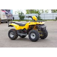 Квадроцикл IRBIS ATV 125 (Жёлтый) МОТОУДАЧА. Магазин мототехники и садового инвентаря с доставкой по всей России