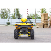 Квадроцикл IRBIS ATV 125 (Жёлтый) МОТОУДАЧА. Магазин мототехники и садового инвентаря с доставкой по всей России