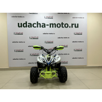 Комплектующие RC110 Coyote (зеленый) МОТОУДАЧА. Магазин мототехники и садового инвентаря с доставкой по всей России