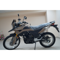 Мотоцикл Racer RC300-GY8 Ranger (коричневый) (Россия) МОТОУДАЧА. Магазин мототехники и садового инвентаря с доставкой по всей России