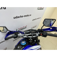 Мотоцикл Racer RC250GY-C2 Panther (Синий) (Россия) МОТОУДАЧА. Магазин мототехники и садового инвентаря с доставкой по всей России