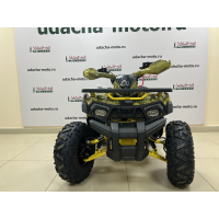 Комплект пластика (п) 125 WILD X баланс. вал. МОТОУДАЧА. Магазин мототехники и садового инвентаря с доставкой по всей России