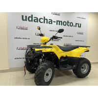 Квадроцикл IRBIS ATV 200 LUX (Желтый) С лебёдкой МОТОУДАЧА. Магазин мототехники и садового инвентаря с доставкой по всей России