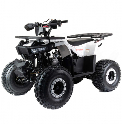 Квадроцикл Motoland 125 STORM (п) МОТОУДАЧА. Магазин мототехники и садового инвентаря с доставкой по всей России