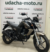 Мотоцикл дорожный Motoland BANDIT 250 коричневый МОТОУДАЧА. Магазин мототехники и садового инвентаря с доставкой по всей России