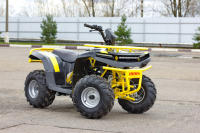 Квадроцикл IRBIS ATV 125 (Чёрный) МОТОУДАЧА. Магазин мототехники и садового инвентаря с доставкой по всей России