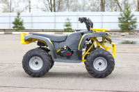 Квадроцикл IRBIS ATV 125 (Чёрный) МОТОУДАЧА. Магазин мототехники и садового инвентаря с доставкой по всей России
