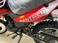 Мотоцикл Racer RC250GY-C2 Panther (красный) (Россия) Удача. Магазин садового инвентаря и техники в Калуге
