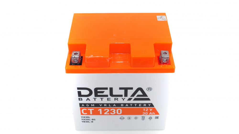 CT 1230 Delta Аккумуляторная батарея Удача. Магазин садового инвентаря и техники в Калуге