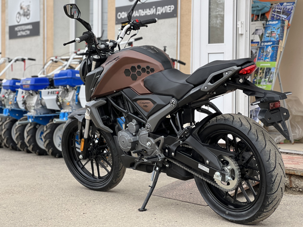 Мотоцикл Racer RC250XZR-X Caiman (коричневый) (Россия) МОТОУДАЧА. Магазин мототехники и садового инвентаря с доставкой по всей России